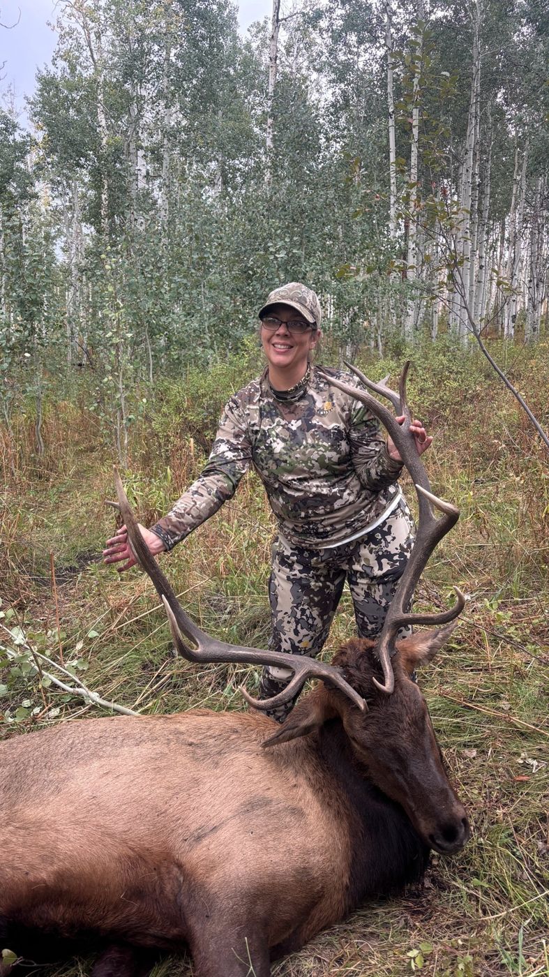 Hunter with a Colorado bull elk on the Western Slope