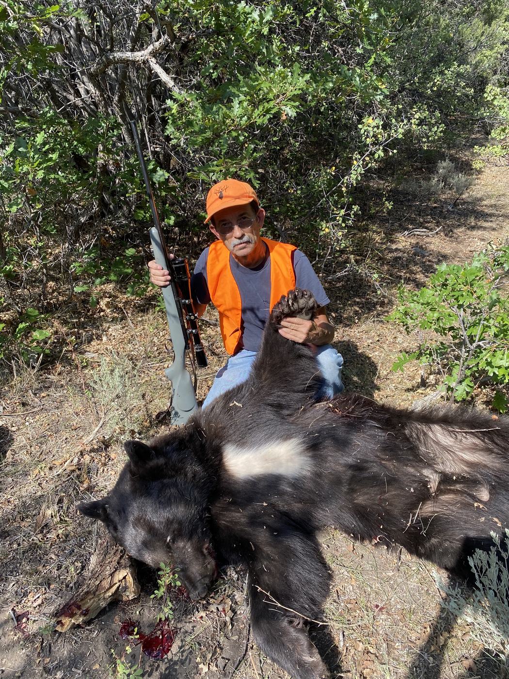 Ridgeline Wilderness — Bear — Colorado Western Slope hunt