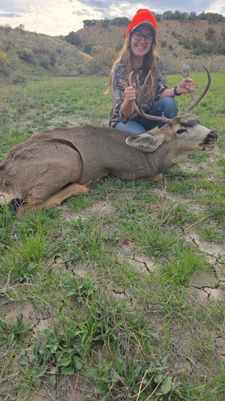 Ridgeline Wilderness — Mule Deer — Colorado Western Slope hunt