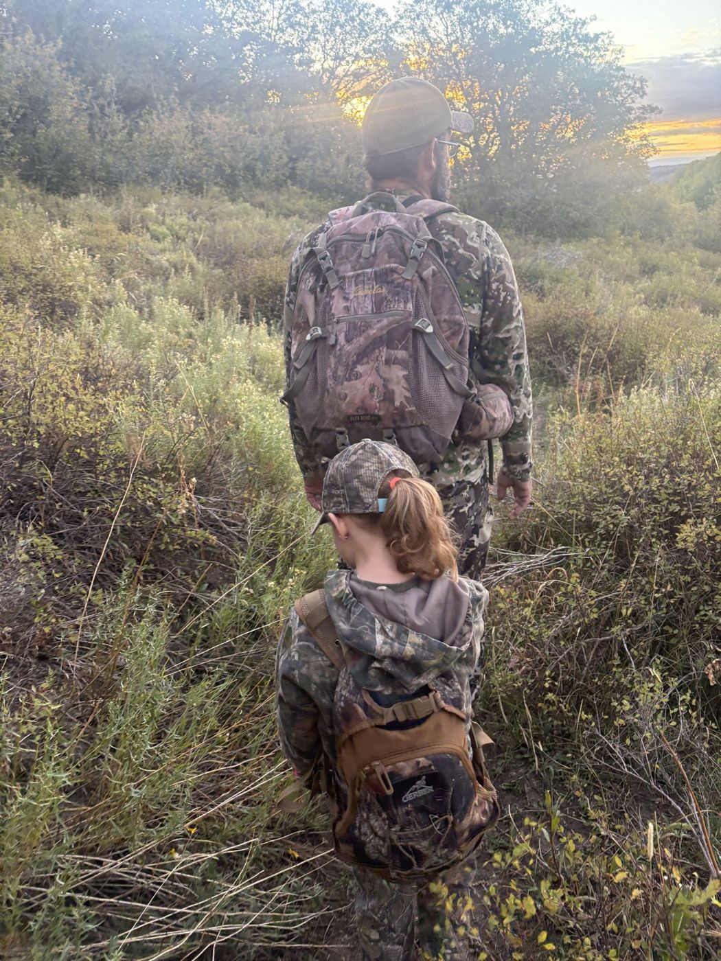 Ridgeline Wilderness — Scenery — Colorado Western Slope hunt